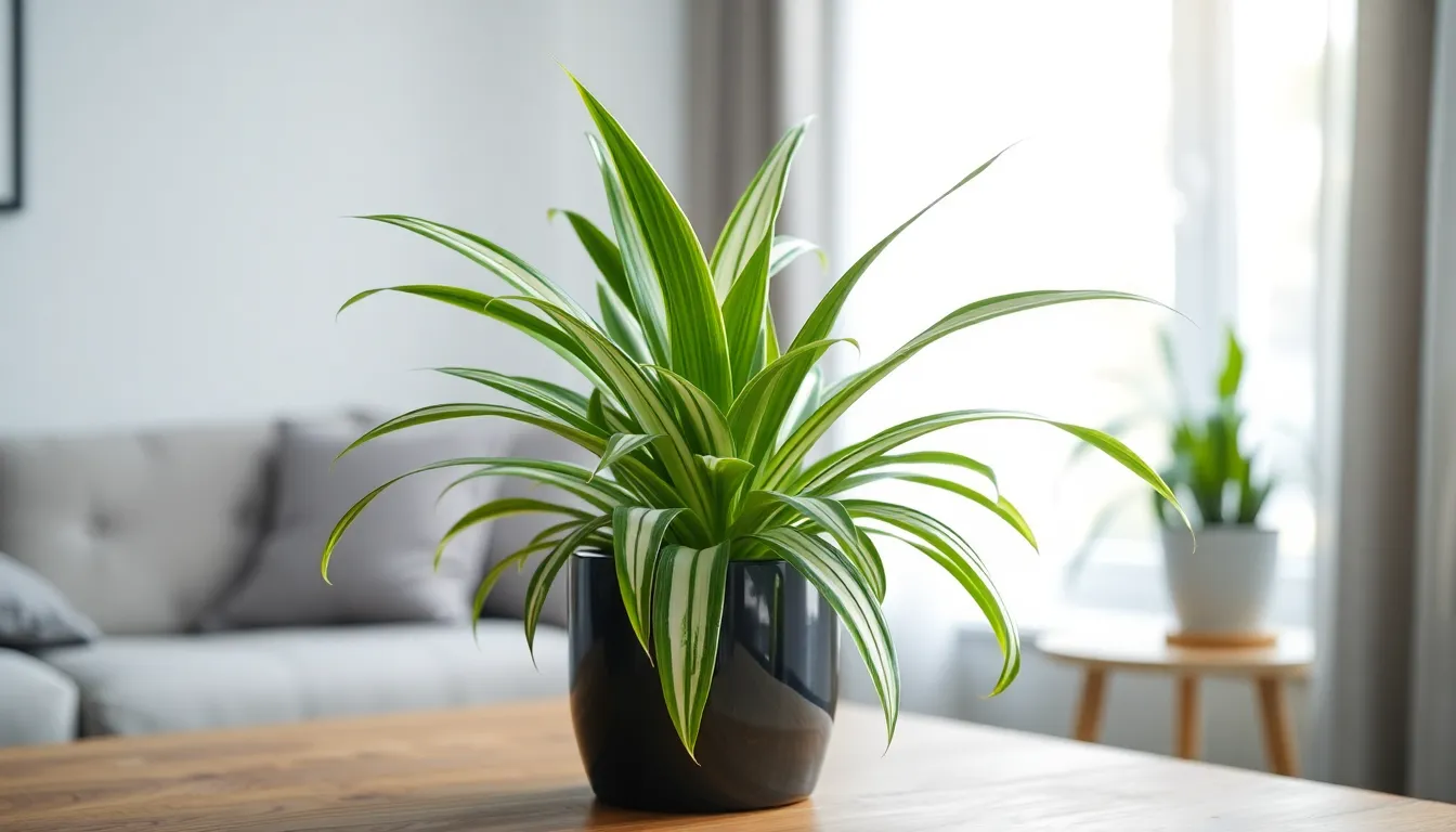 11 Best Indoor Plants with Low Light That Actually Thrive in Dark Spaces 18 11 Best Indoor Plants with Low Light That Actually Thrive in Dark Spaces 17