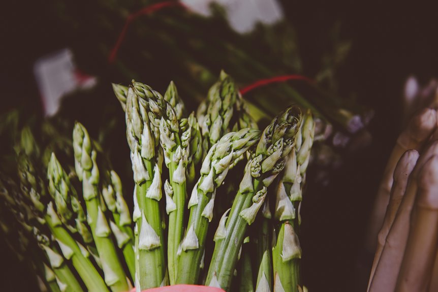 five steps to plant asparagus roots correctly