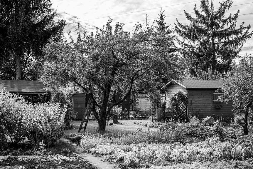 legal front garden shed placement guidelines