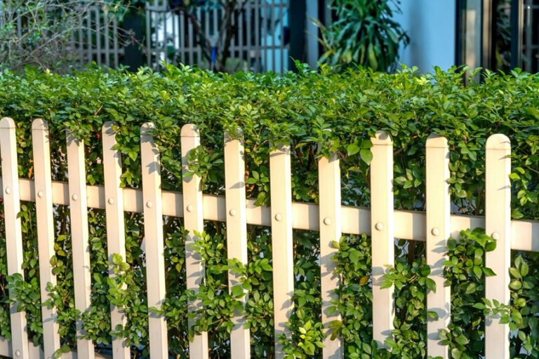 How to Put a 6ft Fence in My Front Garden Legally - Slow Garden Life