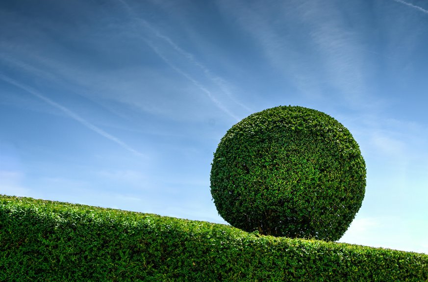 uk front garden hedges height limits